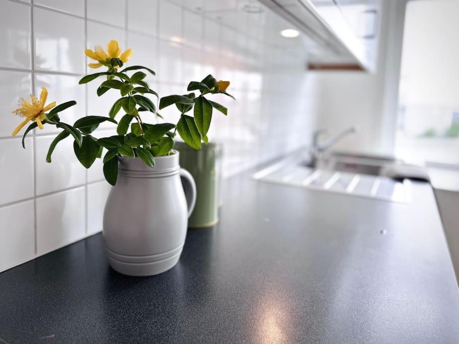 Central, Bright, And Spacious Retreat * Stavanger